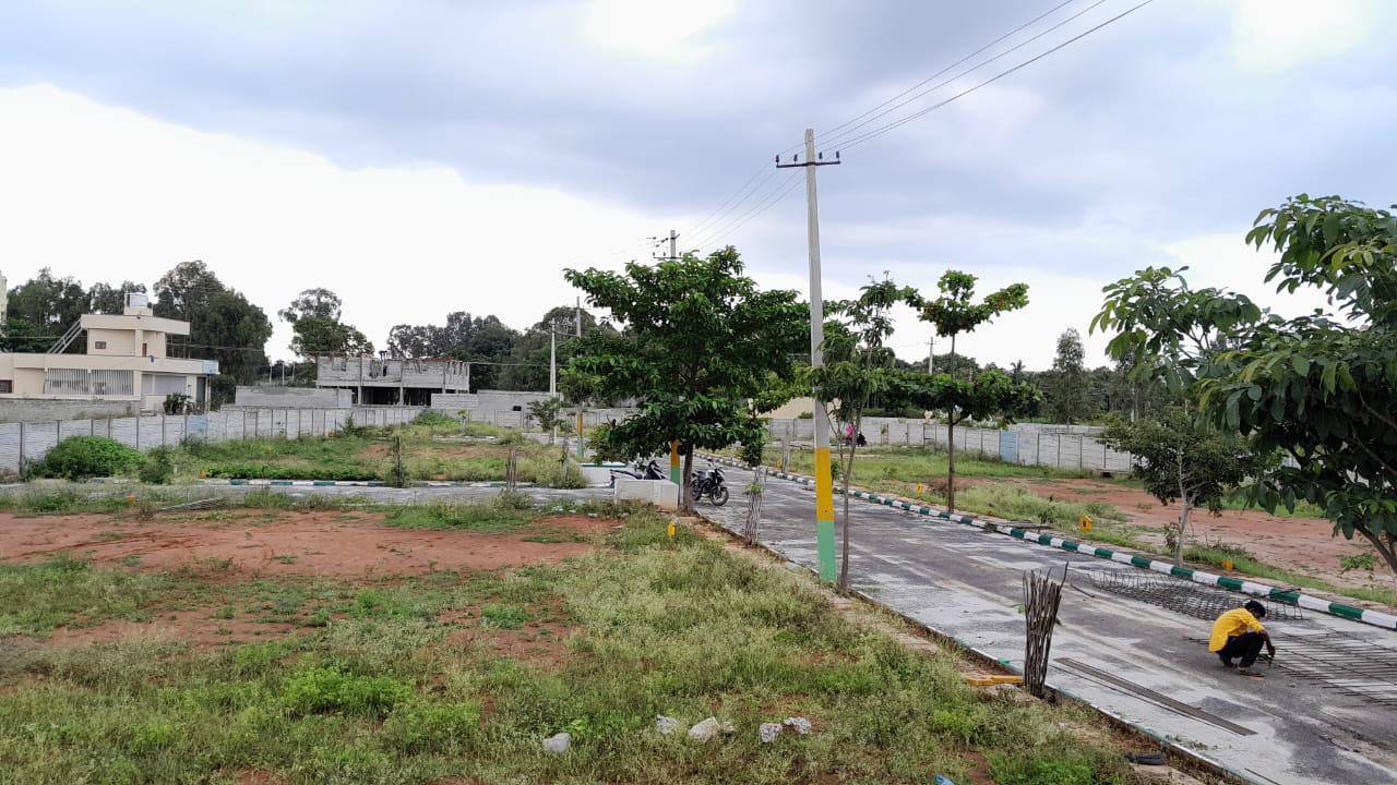 Plot For Resale in Yelahanka Bangalore  7438745