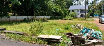 Plot For Resale in Nadathara Thrissur  7439141