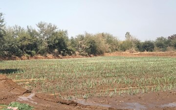 Plot For Sale in Science City