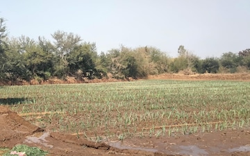 Plot For Sale in Kadi