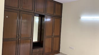 2 BHK Apartment For Rent in Prestige Palms Whitefield Bangalore  7439609