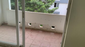 2 BHK Apartment For Rent in Prestige Palms Whitefield Bangalore  7439609