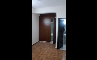 3 BHK Apartment For Rent in Newtech La Palacia Noida Ext Tech Zone 4 Greater Noida  7436992