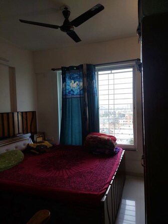 1 BHK Apartment For Rent in Redshift Bloomville Hinjewadi Pune  7439671