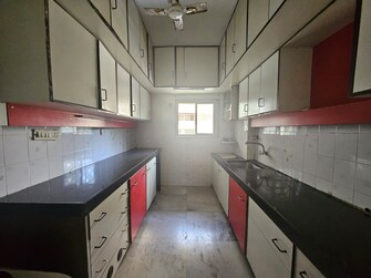 1 BHK Apartment For Rent in Iqbal Heights Agripada Mumbai  7439968