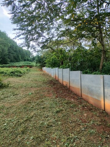  Plot For Sale in Railway Colony