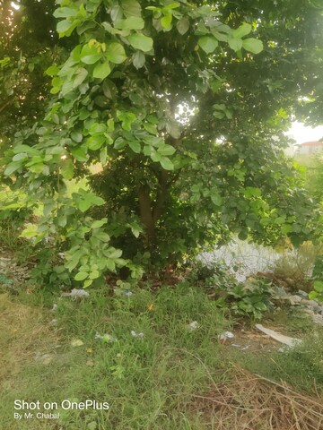  Plot – Garden View at Sector 2 - for Sale