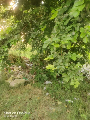  Plot – Garden View at Sector 2 - for Sale