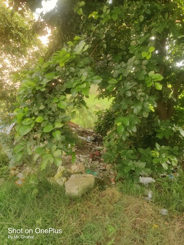  Plot – Garden View at Sector 2 - for Sale