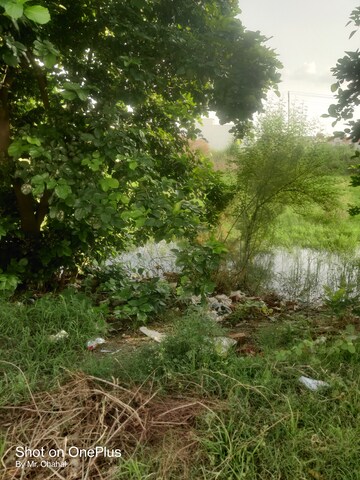  Plot – Garden View at Sector 2 - for Sale