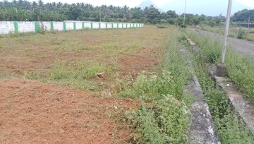 Plot Area in  Plot at Mallur – for Sale