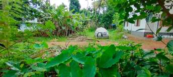 Plot For Resale in Kanimangalam Thrissur  7441222