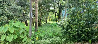 Plot For Resale in Kanimangalam Thrissur  7441222