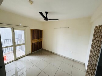 3 BHK Apartment For Rent in Panchsheel Greens Noida Ext Sector 16 Greater Noida  7441612