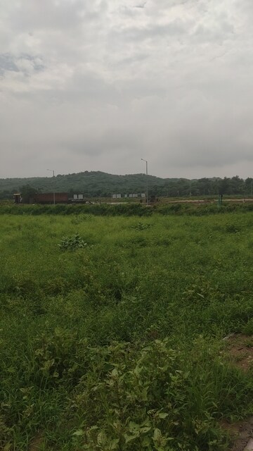 Plot Area in  Plot at Ireo Savannah, Sohna Sector 35 – for Sale
