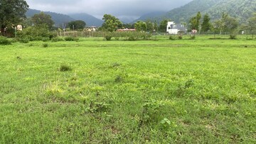 Plot Area in  Plot at Raipur – for Sale