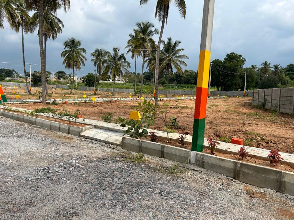 Plot For Resale in Ganapathihalli Bangalore  7442328