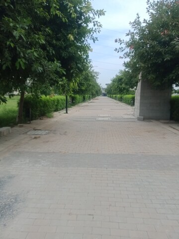  Plot – Exterior View View at BPTP District, Sector 81 - for Sale