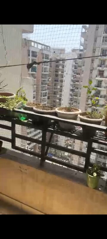 Gym in 2 BHK Apartment at Divyansh Flora, Sector 16c Greater Noida – for Sale