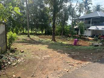 Plot For Resale in Moorkanikkara Thrissur  7442859