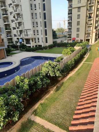 4 BHK Apartment For Rent in M3M Woodshire Sector 107 Gurgaon  7442879