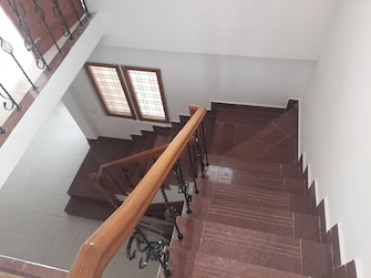 3 BHK Villa For Rent in Gulmohar Colony Bhopal  7442954