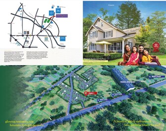 Plot For Resale in Sevashrama Bangalore  7443036