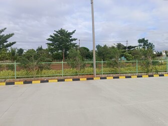 Plot For Resale in Sevashrama Bangalore  7443036