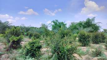 Plot For Resale in Dlf City Phase 3 Gurgaon  7443119