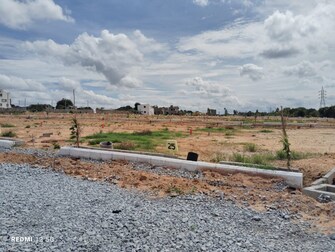 Plot For Resale in Narapally Hyderabad  7439161