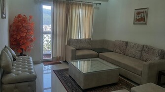 3 BHK Apartment For Rent in Aamwala Dehradun  7444784