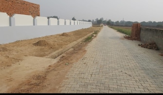 Plot For Resale in Chhalera Noida  7445057