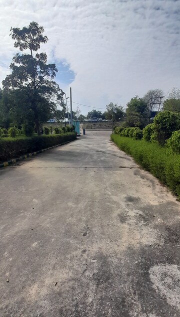  Plot For Sale in Jewar
