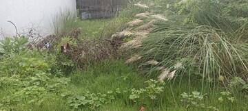 Plot Area in  Plot at Aurangabad Khalsa – for Sale