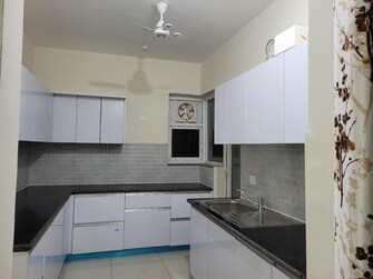 3 BHK Apartment For Rent in Greater Mohali Mohali  7445494