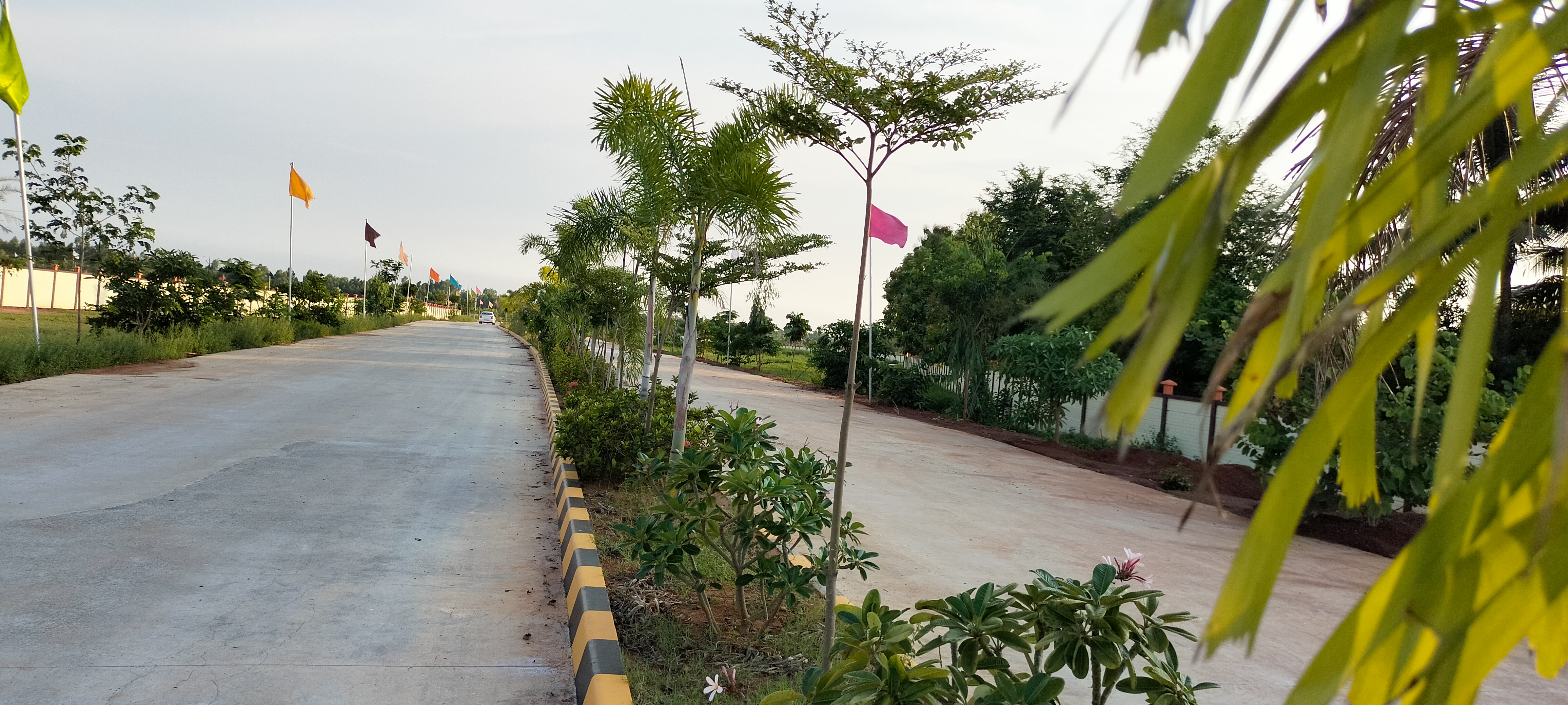 Plot For Resale in Gnanam Nagar Thanjavur  7445504