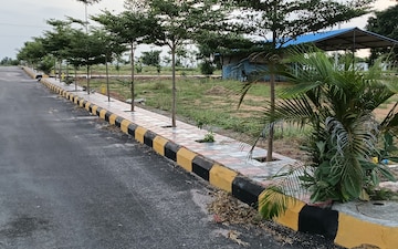Plot For Sale in Narepally