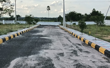 Plot For Sale in Buddha Nagar