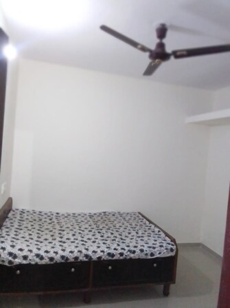 1 BHK Builder Floor For Rent in Koregaon Park Annexe Pune  7445979