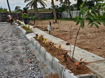 Plot Area in  Plot at Mysore Road – for Sale