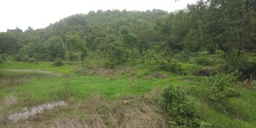 Plot Area in  Plot at Pen – for Sale
