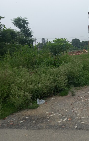 Plot For Resale in Sector 29 Kurukshetra  7446155