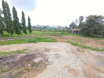 Commercial Industrial Plot 5 Acre For Resale in Dobbaspet Bangalore  7446173