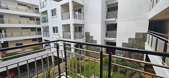 3 BHK Apartment For Rent in Alisha Crystal Dew Hennur Road Bangalore  7446452