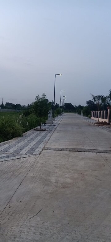 Plot Area in  Plot at Mauli 22, Pipla – for Sale