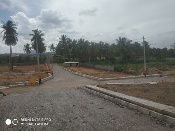 Plot Area in  Plot at Ganapathihalli – for Sale