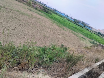 Plot Area in  Plot at Yamuna Expressway – for Sale