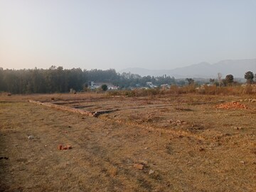 Plot Area in  Plot at Dhaulas  – for Sale
