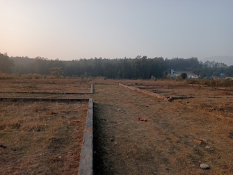 Plot For Resale in Dhaulas  Dehradun  7447628