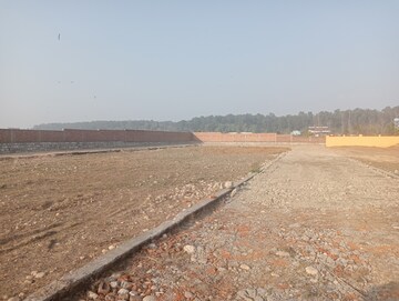 Plot Area in  Plot at Dhaulas  – for Sale